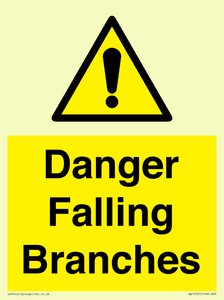Danger Falling Branches